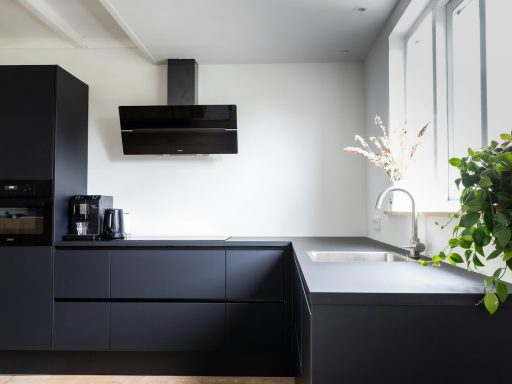Modern black kitchen with sleek cabinets, a stainless-steel hood, and a green plant decor.